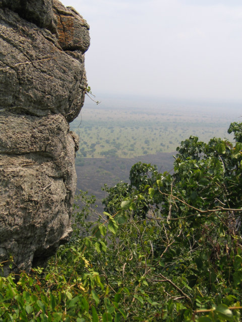 A large rock, trees, and a brush field covered in dusty air.