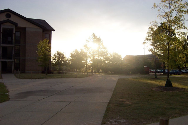 A sun behind trees, in a barracks area in Ft. Bragg - Smoke Bomb Hill - 35th Sig BDE