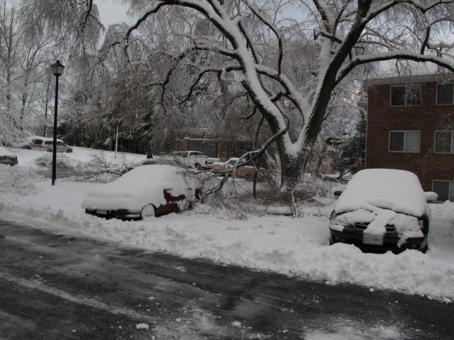 Messy scene. Snow crashes tree into car.