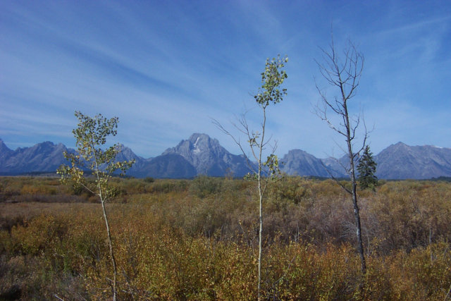 A mountain and yellow shrubbery somewhere in Jackson Hole