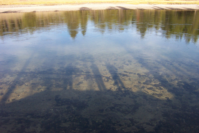 Shadows of human figures, as seen at the bottom of a creek.