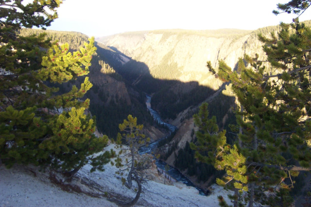 A canyon with a running riveer in Yellowstone National Park.