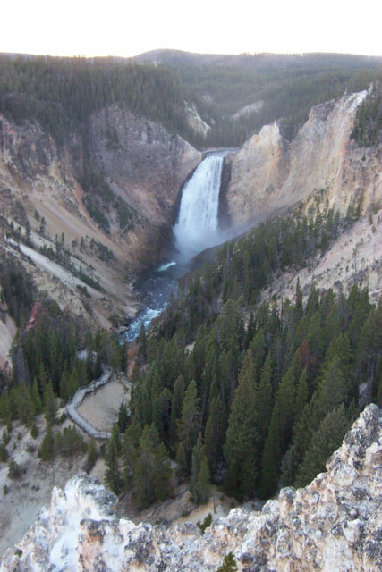 A big, beautiful waterfall and canyon in Yellowstone National Park.
