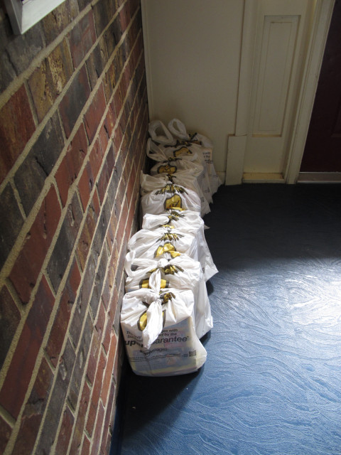 Phone books lined up on the ground, for residents that don't want them.