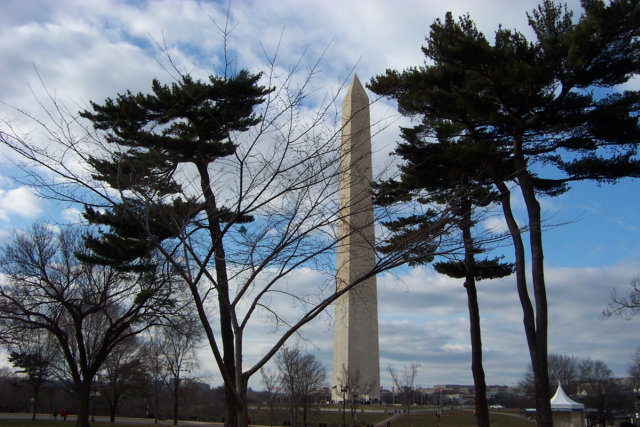 The Washington Monument behind some trees.