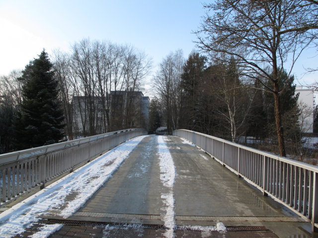A pedestrian bridge, iced over, connecting a group of apartment buildings to a grocery store.