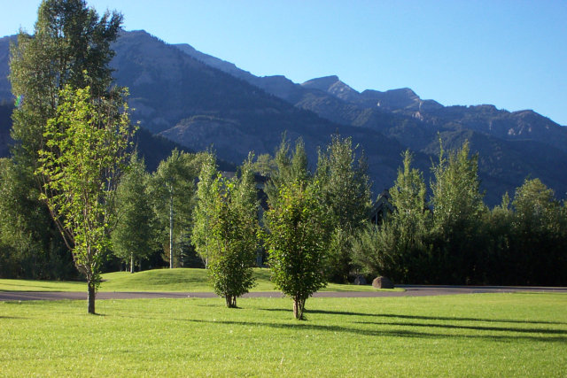 Trees, grass, mountains, blue sky in Jackson Hole, WY