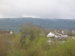 Weeds, houses, and property lines on a hill.