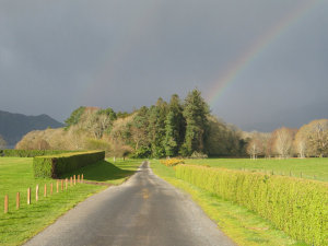 A rainbow landing at the end of a path, near Muckross House.